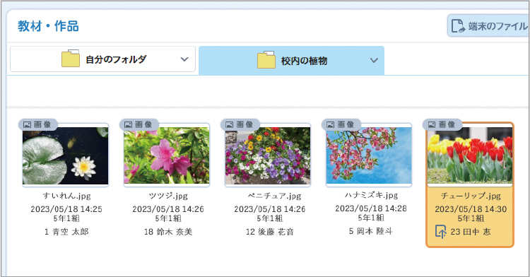 グループフォルダ