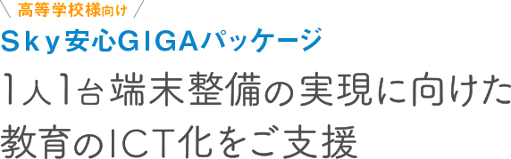 Ｓｋｙ安心GIGAパッケージ
