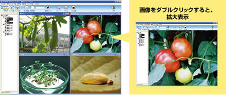 一覧のカメラ画像をダブルクリックすると、拡大表示させる事ができます。